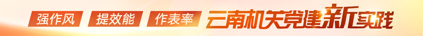 云南機關黨建新實踐